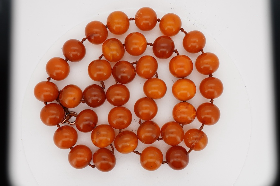A single strand circular amber bead necklace, 56cm, gross weight 55 grams.